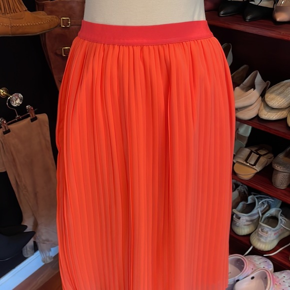 Pleated Skirt - Picture 4 of 4